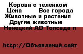 Корова с теленком › Цена ­ 69 - Все города Животные и растения » Другие животные   . Ненецкий АО,Топседа п.